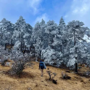 SANDAKPHU TREK