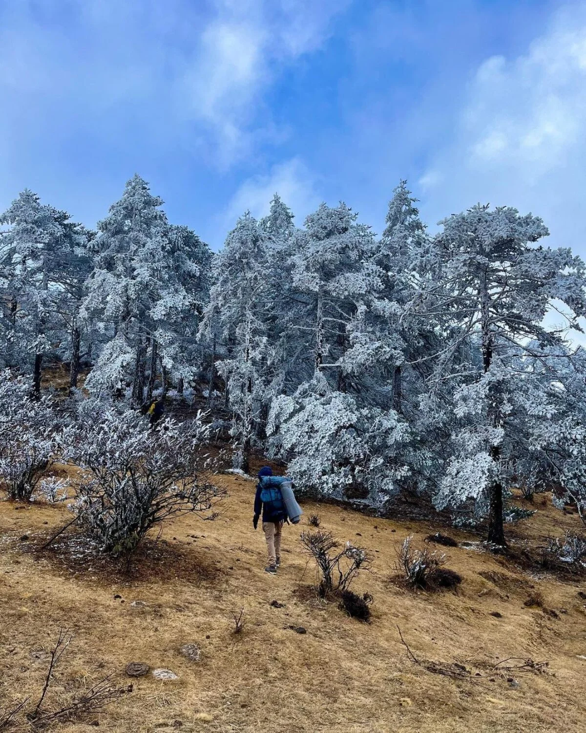 SANDAKPHU TREK