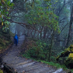 Goechala Trek